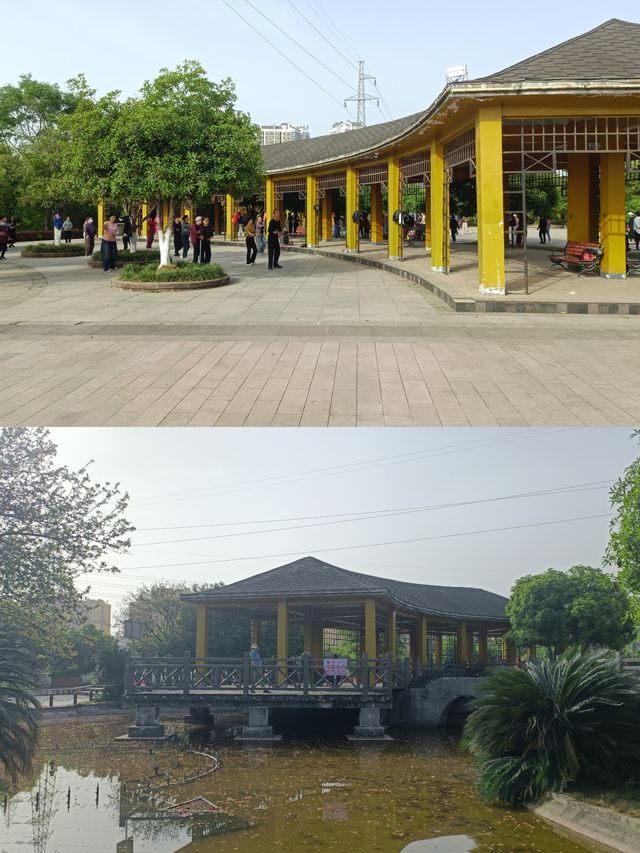 南部爬山式遊園！桂博園爬坡5分鐘，快樂一整天～