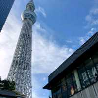東京晴空塔下的吉卜力夢幻世界