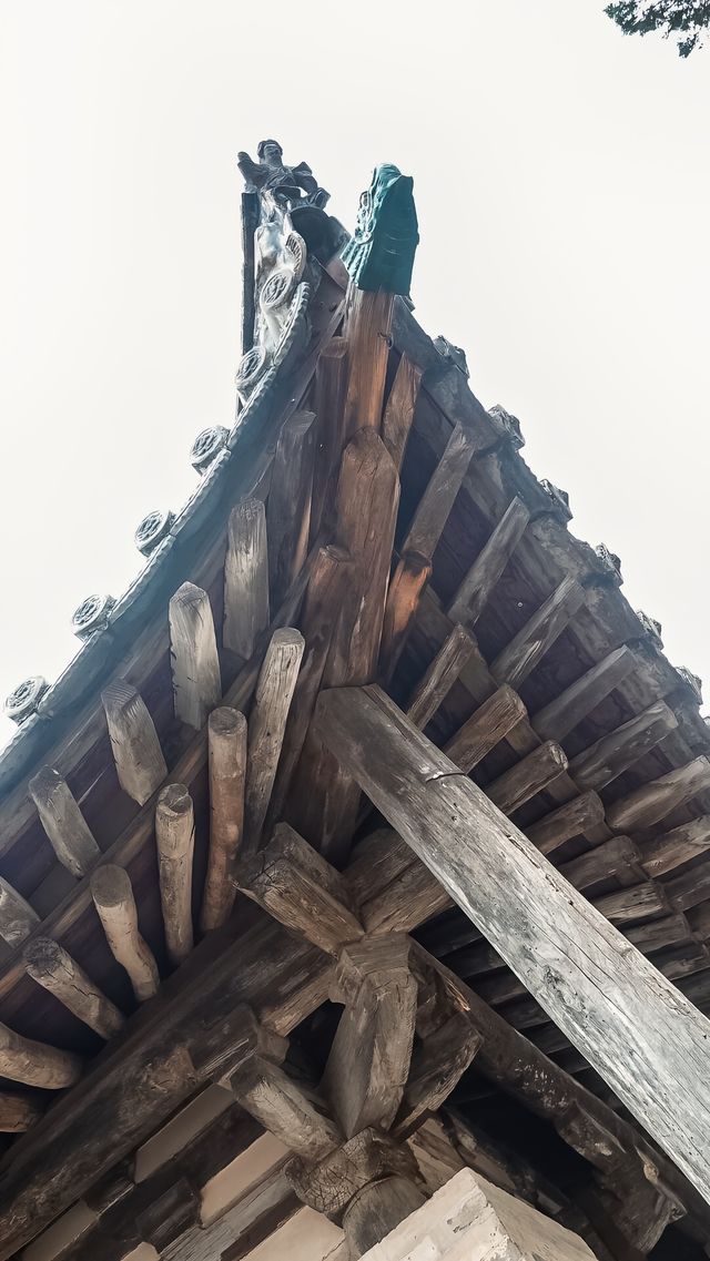 唐構嘅DNA動咗一動
