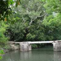 五一別再人擠人！來中山香樟公園吸氧撒歡🌳