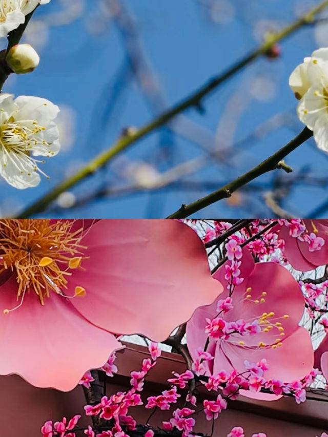 西溪濕地公園