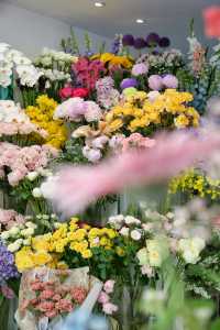 520倒數計時！帶毛孩看看寧波嘅花花世界！