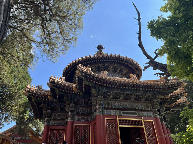 故宮御花園｜紅牆金瓦下的皇家秘境🌸
