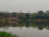 成都春日漫遊｜在浣花溪公園邂逅詩意與花開