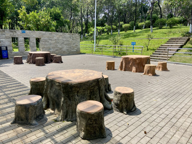 ☀️陽光下的沙井公園🌴✨城市中自然綠洲