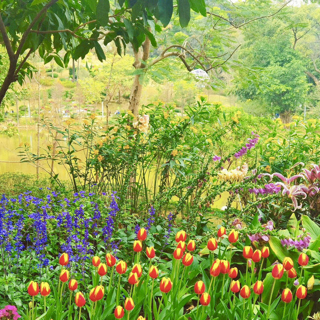 Discover Yunluo Botanical Garden – Guangzhou’s Newest Urban Oasis!