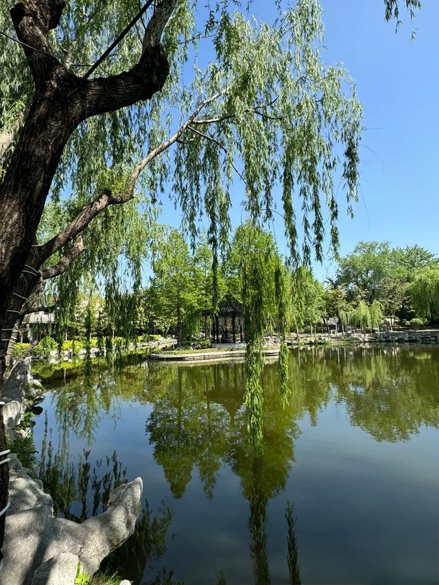 假期之臨沂·真係早已超乎你嘅想像