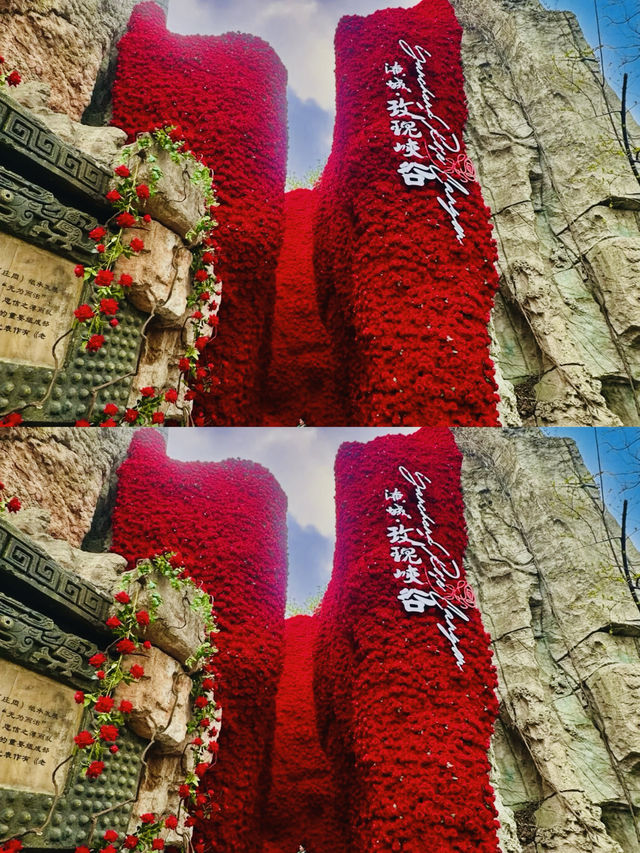 常州2日遊，超詳細攻略請查收！
