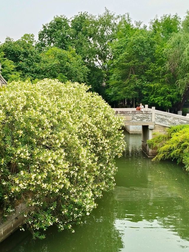 Suzhou's Charm Captured