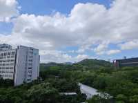 盛夏光影漫遊指南