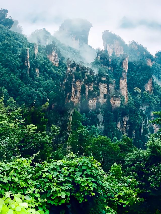 張家界「懸浮山」真係可以爬？外國網友賭100萬：假嘅！"