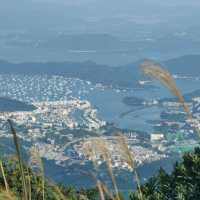 飛鵝山徒步之旅：登九龍巔峰，覽港城山海絕景