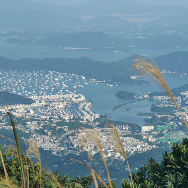 飛鵝山徒步之旅：登九龍巔峰，覽港城山海絕景