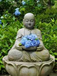 東京6月紫陽花聖地交通全攻略：奔赴限定藍紫色浪漫 