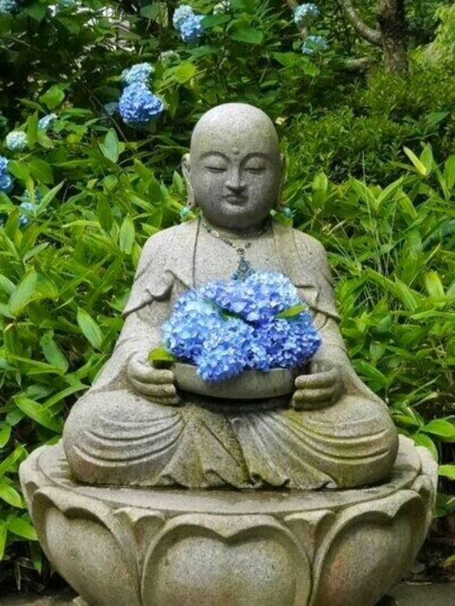 東京6月紫陽花聖地交通全攻略：奔赴限定藍紫色浪漫 