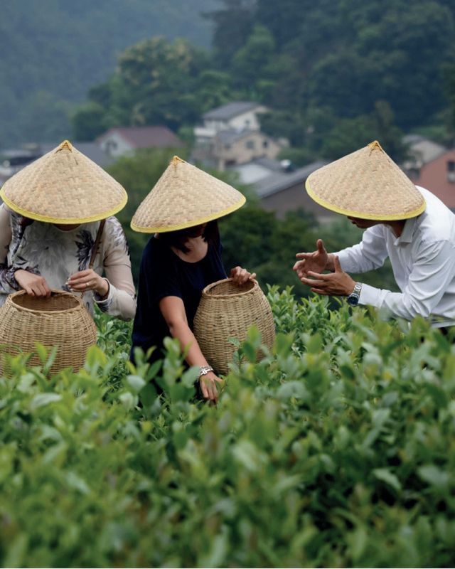 杭州西子湖四季——住進西湖嘅「四季」