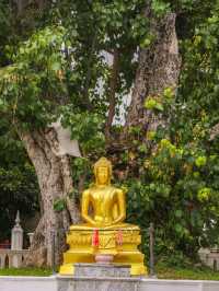 曼谷尼維塔瑪帕萬寺交通攻略：輕鬆前往泰國最美哥特式佛寺