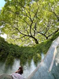 Fort Canning Park in Singapore is Stunning🥰🥰