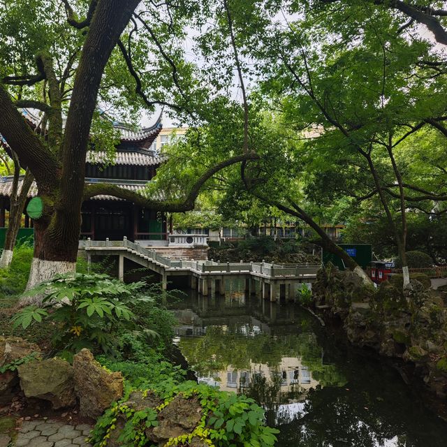 我打卡咗張蒼水故居