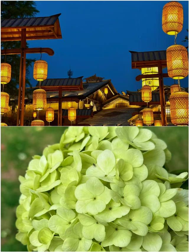 週末出走計劃！高鐵1-3小時直達嘅5個寶藏城市