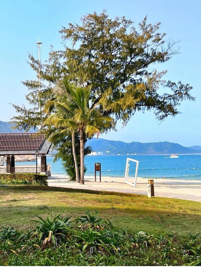 深圳私藏！這片玻璃海美到以為在三亞🌊