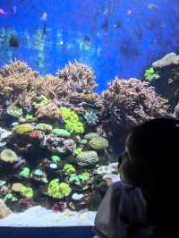 【珠海長隆海洋王國超全遊玩攻略】