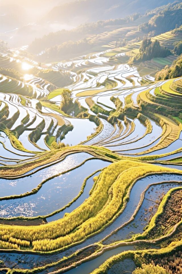 梯田—天顏