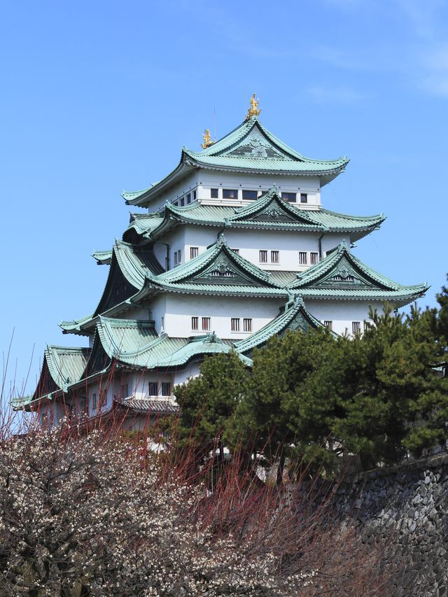 去名古屋要注意啲咩？細節多到爆燈