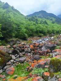 二郎山喇叭河餵鹿睇猴行山攻略，差啲俾馬騮襲擊！