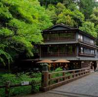 大阪Forest park森林公園🌲！都市綠肺秘境全攻略，吸氧放鬆必衝！