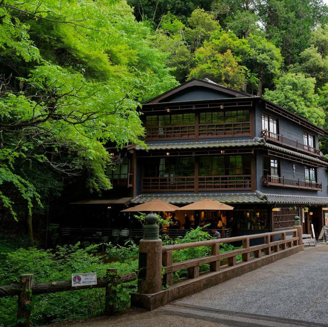 大阪Forest park森林公園🌲！都市綠肺秘境全攻略，吸氧放鬆必衝！