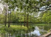 濟南森林公園 | 城市中的自然瑰寶