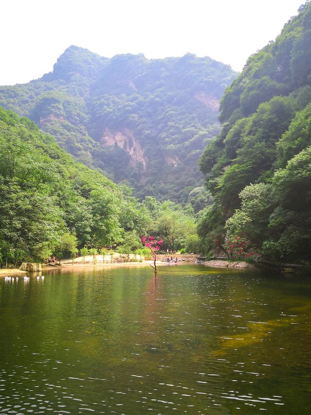 免費 少華山一日徒步攻略安排