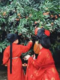 夏天到廣西遊“荔”山海，穿越回大唐，體驗貴妃食荔枝的樂趣！