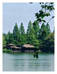 茅家埠旅遊推薦