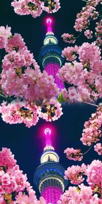 東京晴空塔櫻花季限定必打卡攻略