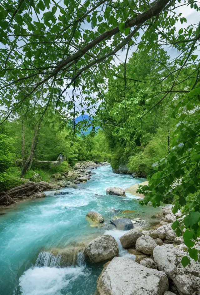 成都3小時直達！23℃清涼秘境 | 川西小眾徒步天花板畀我搵到