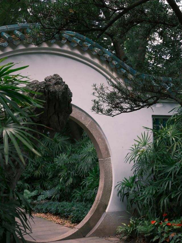 富士直出-闖入廣州蘭圃-靜謐園林美學