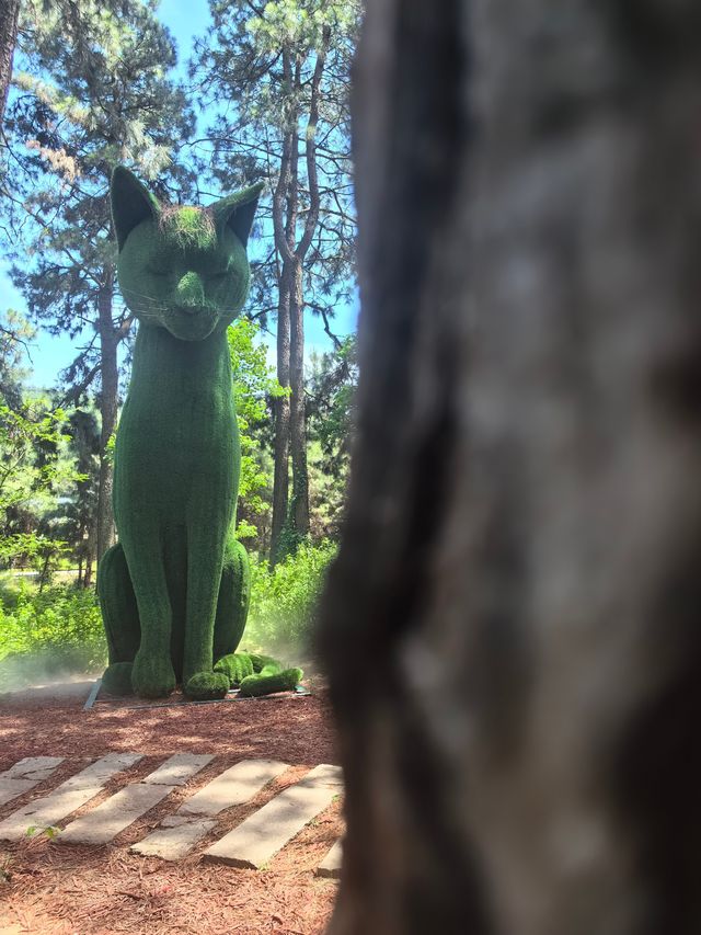 常州茅山森林世界親子遊全攻略 | 餵天鵝、勇闖魔法森林、邂逅植物