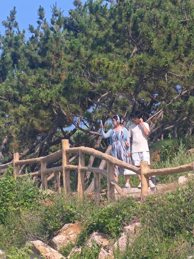 煙台養馬島｜闖入宮崎駿漫畫裡的治癒海島