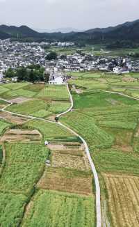 逃離煩囂，享受寧靜。