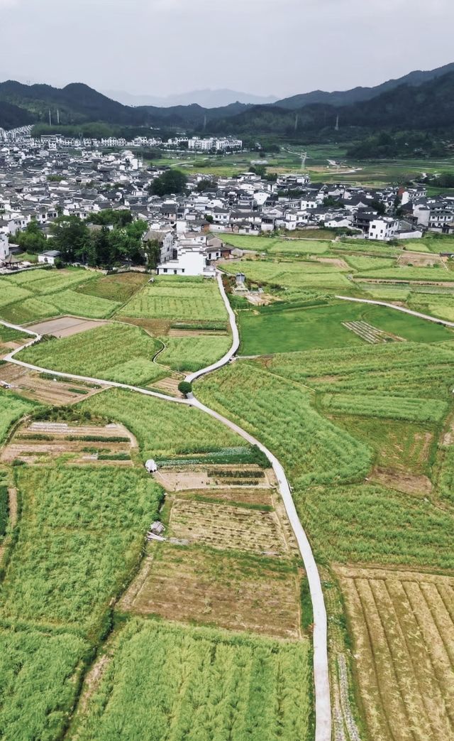 逃離煩囂，享受寧靜。