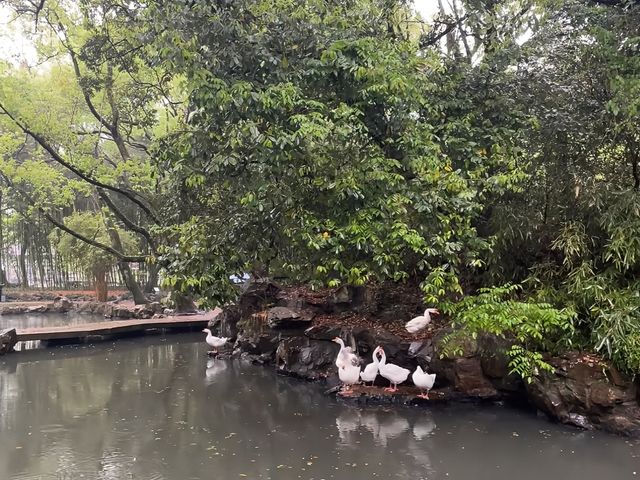去咗4次蘭亭景區，終於玩到明！