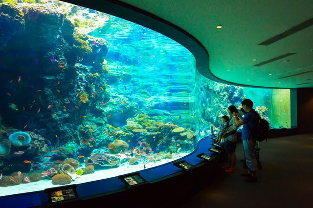 沖繩深度旅遊全攻略：碧海藍天中的南國秘境