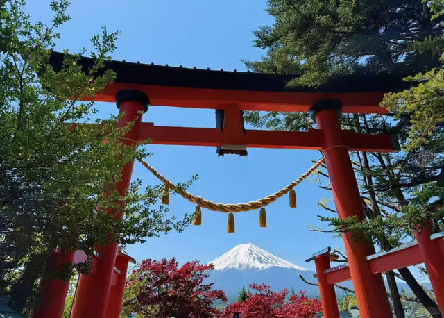 東京出發【富士山・忍野八海・溫泉體驗】