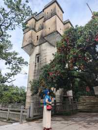古村、紅荔、老碉樓——瓜嶺村的治癒系漫遊