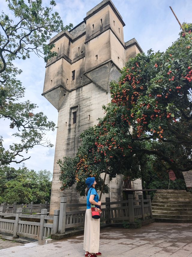 古村、紅荔、老碉樓——瓜嶺村的治癒系漫遊