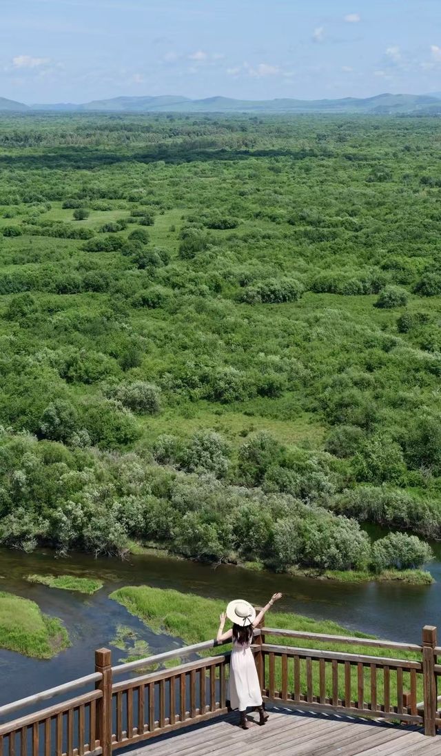 晨霧、白樺與根河