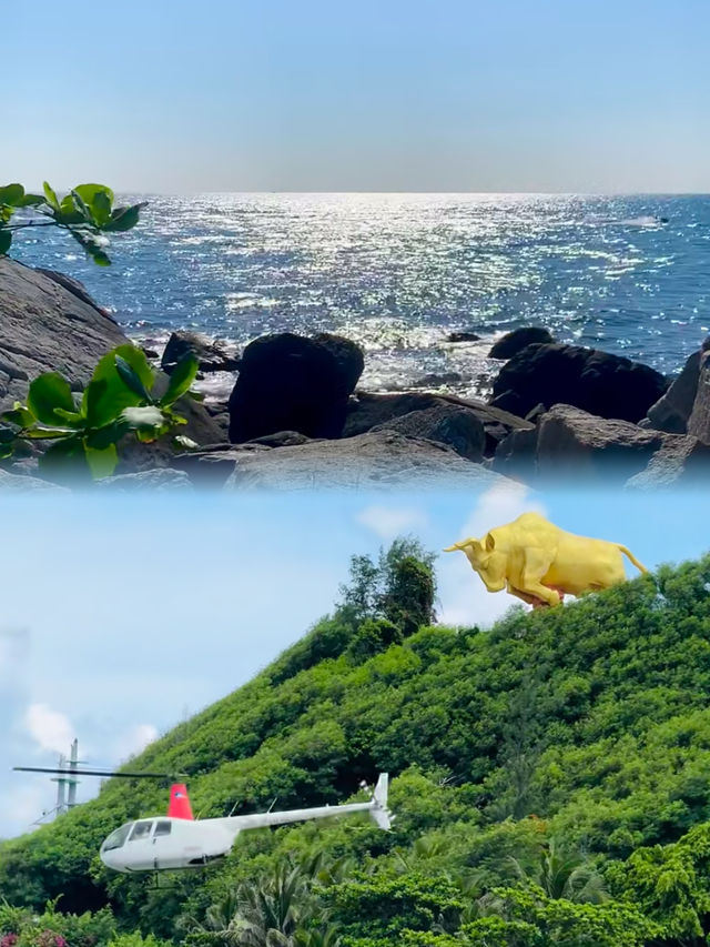 西島受罪已回我只想講一點大實話！！實在太…