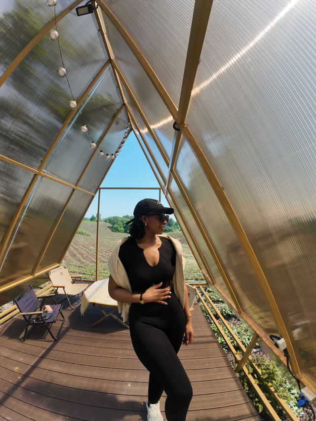 🧘🏽‍♀️🏕️Nature and Fresh Air with Views in Anji 🍀🌴